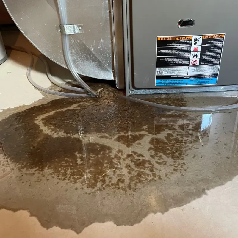 Pipe Burst and Leak Restoration in York County, PA