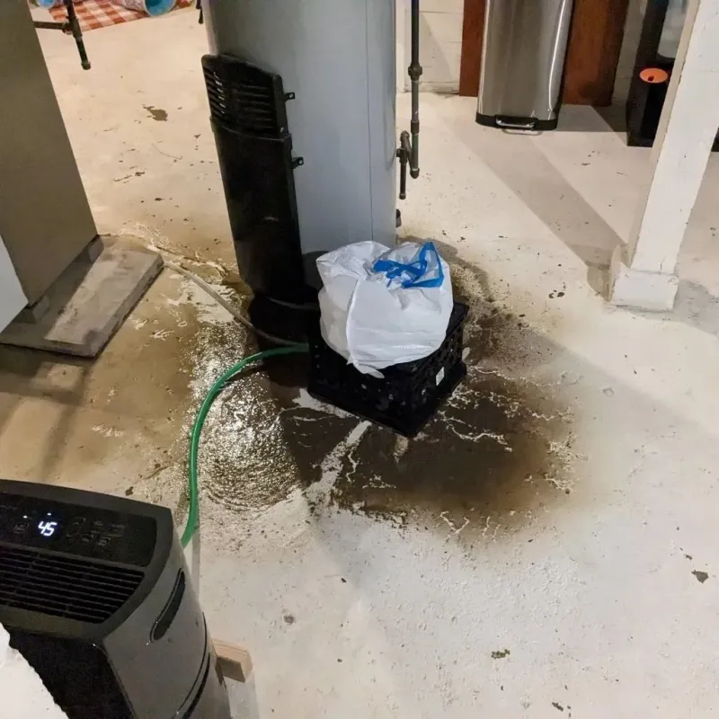 Sewage Backup Cleanup Service in York County, PA